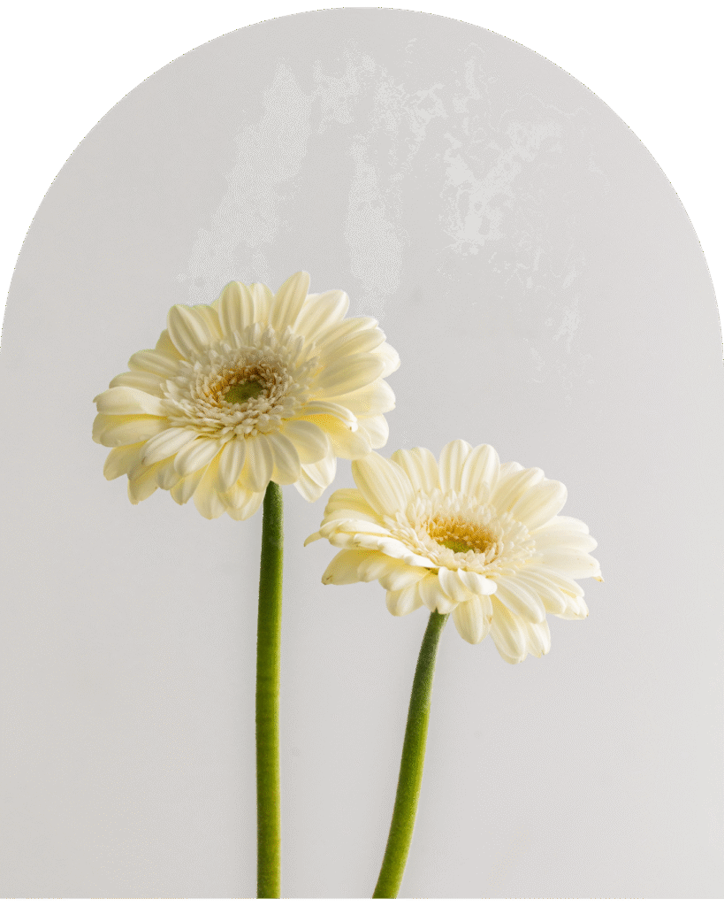 Na zdjęciu znajdują się dwa kwiaty