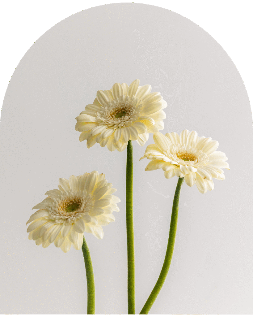 Na zdjęciu znajdują się trzy pojedyncze kwiaty