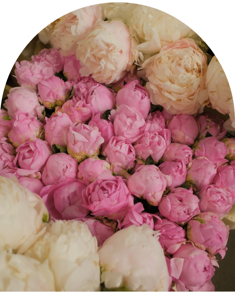 Na zdjęciu znajdują się różowe kwiaty